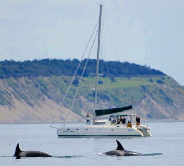 28946 404219114109 95299044109 4087941 524724 n 2