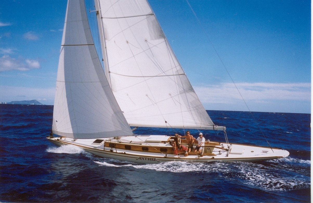 Anthea Thoosa installation